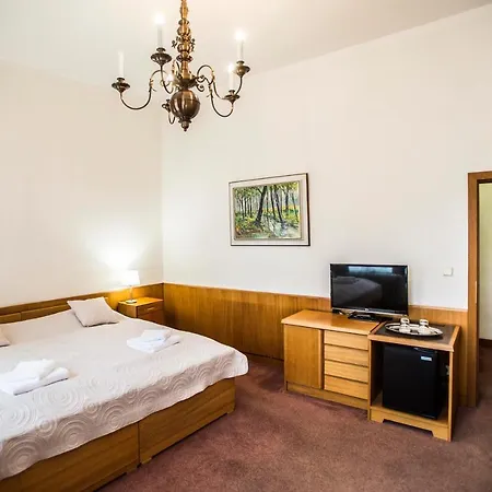 ホテル Opitzuv Dum *