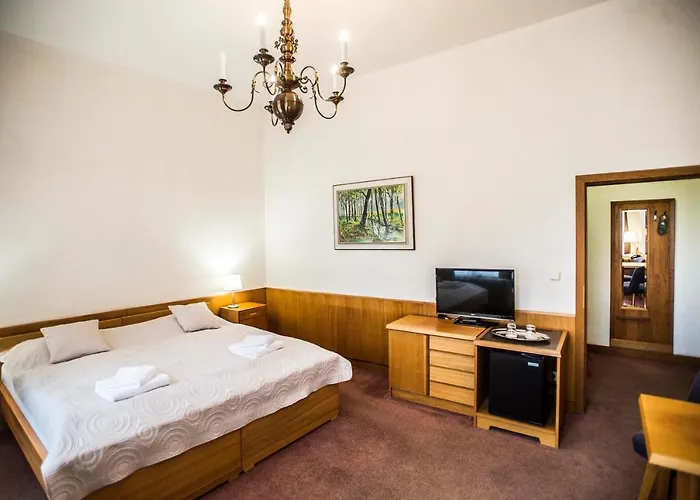 Szálloda Opitzuv Dum *